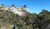 Tour Wandern Le Castellet - Roche Redonne  - Photo 10