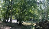 Randonnée  Ferrières - Ferme de palogne final - Photo 10