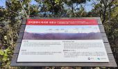 Trail Walking Unknown - Boucle des Peak sur les crêtes autour du temple Naejangsa  - Photo 15