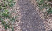 Trail Walking Montmeyan - les basses gorges de quinson - Photo 13
