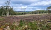 Trail Walking Manhay - Dochamps 240924 - Photo 11