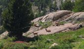 Tour Wandern Saint-Martin-Vésubie - Mercantour - circuit du lac de Trecolpas - Photo 19