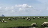 Tour Wandern Courtils - La Roche Torin - le bas courtils - Photo 7