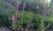Trail Walking Spa - berinzenne fleurie - Photo 18