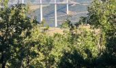 Tocht Stappen La Bastide-Pradines - Larzac6 Ferme des Brouzes - Millau - Photo 10