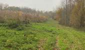 Trail Walking Silly - Gondregnies - bois de la Provision - Fouleng - Photo 11