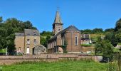 Tour Wandern Manhay - Balade à Deux-Rys - Manhay - Photo 2