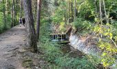 Trail Walking Grand-Aigueblanche - Cascade du Morel-20-07-22 - Photo 3