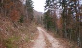 Tour Zu Fuß Unknown - Oštri Kozjak Iz Jadovna - Photo 4