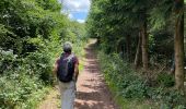 Randonnée Marche Nassogne - Forriere vers Masbourg  - Photo 12