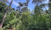 Trail Walking Kalmthout - Heide 24,2 km - Photo 6