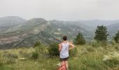 Tocht Noords wandelen Rémuzat - Tour du Montrond - Photo 3