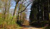 Randonnée Marche Longpont - en forêt de Retz_77_Longpont_Puiseux en Retz_AR - Photo 1