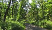 Tocht Stappen Choisy-au-Bac - en forêt de Laigue_7_06_2020_sur les routes de la Fontaine à Baril_Belle Assise_Plessis-Brion_chemin de Voie d'Eau - Photo 16