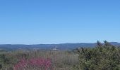 Randonnée Marche Berrias-et-Casteljau - Gorges du Chassezac - Photo 12