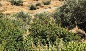 Trail Walking Πρόδρομος - Prodromos - Lefkes A-R par la « Route Byzantine «  - Photo 5