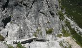 Trail On foot Molveno - Sentiero attrezzato delle Val Perse - Photo 10
