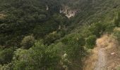 Tocht Stappen Minerve - Minerve - Gorges du Briant par le GR77 - Photo 20