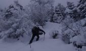 Excursión Esquí de fondo Aspres-lès-Corps - tentative du Laton, pic gazonné  - Photo 5