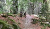 Tocht Stappen Soultzeren - Lac vert forlet - Photo 5