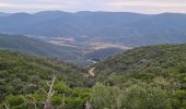 Trail Walking Bormes-les-Mimosas - Chartreuse de la Verne - Photo 4