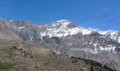 Trail Walking Le Vernet - VERNET . LES 3 CABANES O S M  - Photo 4