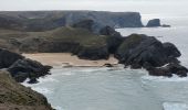 Tocht Stappen Bangor - 3-Port Coton - Locmaria à Belle Île en mer  - Photo 4