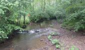 Randonnée Marche Couvin - Tamalous de la Botte - Photo 2