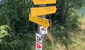 Trail Walking Arvieux - Lac de Roue variante  - Photo 2