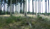 Tour Zu Fuß Unbekannt - Rundwanderweg Vogel - Photo 2