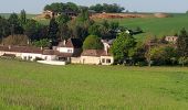 Trail Walking Villiers-Louis - Villiers-Louis 250427 - Photo 1