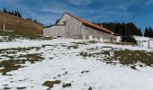 Randonnée A pied Oberstaufen - Premiumwanderweg Nagelfluhschleife Alpenfreiheit - Photo 2