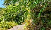 Trail Walking Bièvre - Balade à Bellefontaine - Bièvre - Photo 8