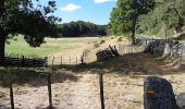 Randonnée Marche Peyre en Aubrac - BOUCLE AU DEPART DE FAU DE PEYRE - Photo 10