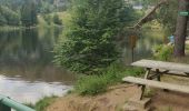 Tocht Stappen Orbey - randonnée des 3 lacs, lac noir , lac blanc et lac du former ( lac des truites) Vosges  - Photo 3