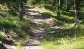 Trail Walking Saint-André-d'Embrun - chalet  de la biche . mont orel . chapelle de pra leydon . chalet de la coche - Photo 1