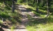 Tour Wandern Saint-André-d'Embrun - chalet  de la biche . mont orel . chapelle de pra leydon . chalet de la coche - Photo 1