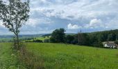 Tour Wandern Sankt Vith - Lommersweiler  variante chouette  - Photo 11