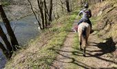 Trail Horseback riding Florenville - Les Epioux  - Photo 7