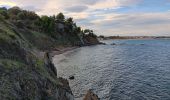 Randonnée Marche Argelès-sur-Mer - racou -  risque de portails (par les bois) port argeles (par la mer) le racou - Photo 7