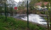 Tour Wandern Sentheim - Sentheim Grambaechle - Photo 6