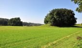 Trail On foot Uster - Uster - Fehraltorf - Photo 8