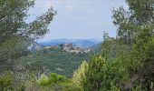Tour Wandern Ollioules - Châteauvallon - Ollioules - Photo 10