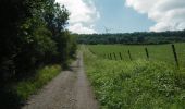 Trail Mountain bike Virton - Le Bévaux et Saint-Pancré  -  Balade_VTT_34kms - Photo 17