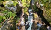 Tour Wandern Metzeral - Le belvédère du 1e Spitzkopf - Photo 18