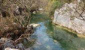 Trail Walking Notre-Dame-de-Londres - le ravin des arcs a l envers depuis les marmites jusqu aux arches - Photo 12