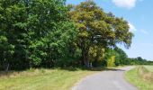 Tour Wandern Magnac-sur-Touvre - La balade d'Antornac - Photo 2