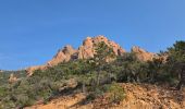 Trail Walking Saint-Raphaël - Pic du cap roux - Photo 3