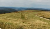 Trail Walking Stosswihr - le sentier des roches  - Photo 5