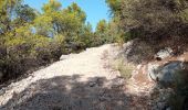 Trail Walking Toulon - le Mont Faron 2 - Photo 3